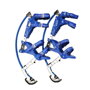 Echasses Urbaines 40-60 kg