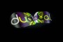 Dual Snowboard